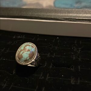 Oval Turquoise Ring with Silver Band
